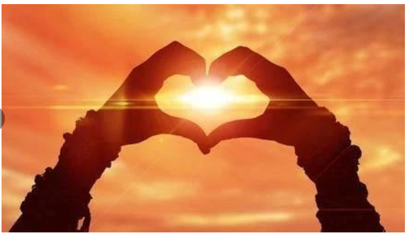 “你们是谁？为什么要做这些事？”