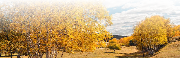 一封悔过信：写在入学前