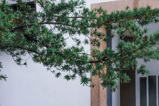 一篇文章引发的讨论与思考