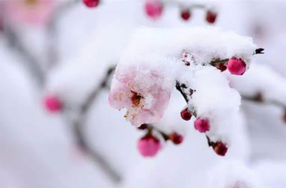 不花钱大作用养生小妙招 —— 无根之水的妙用