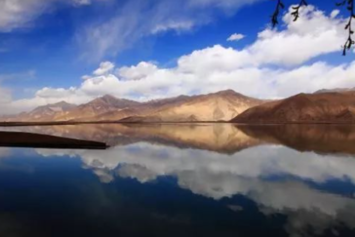 九国免费义诊、免费派药继续进行中！听听患者怎么说（反馈第三版）