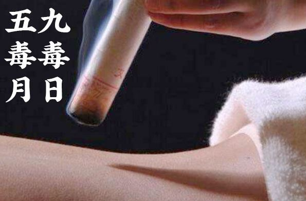 九毒日——以毒攻毒