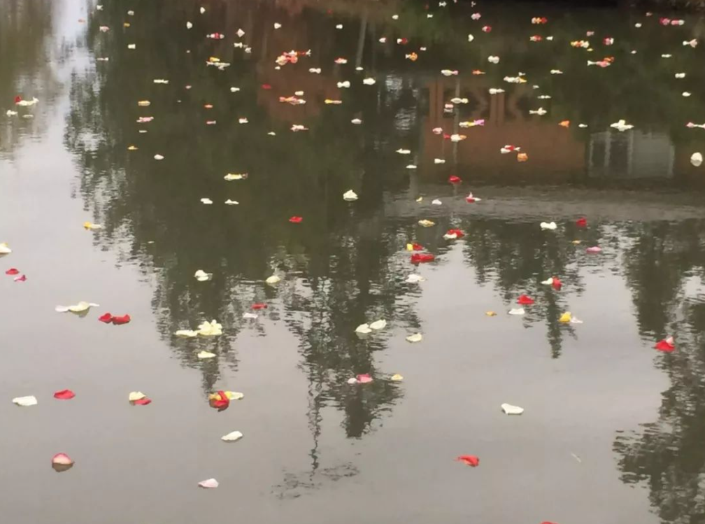 今年冬天用此方甚膏方