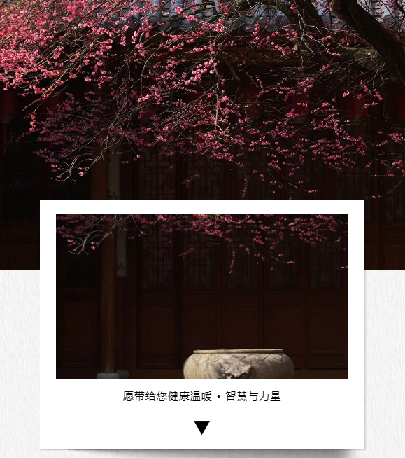 体验一把老师的高能量带领