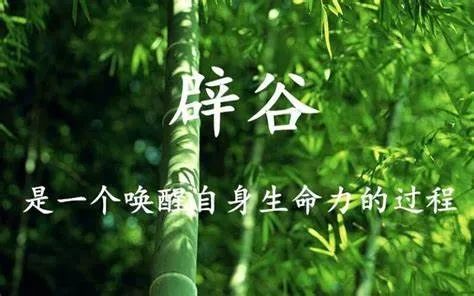 公益讲座音视频 | 小医生辟谷14+1