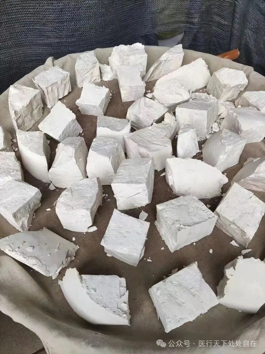 北有人参，南有葛根，人人用的起