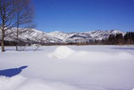 医道馆2018 冬季养生攻略（海外篇）
