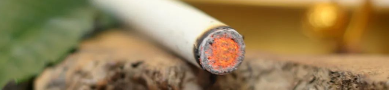 古方法治现代病 专家教您艾护四大金刚