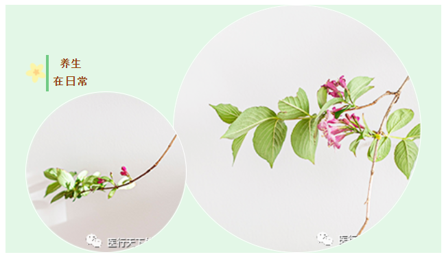 后疫情时代 | 如何从根本上提高自身免疫力、自愈力