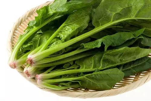 周一请吃素 | 春天吃什么蔬菜有益健康？