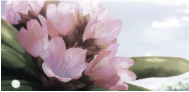 在你身上，我读到了真心和真诚