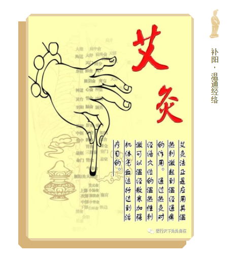 好艾 | 入门必知的那点儿事