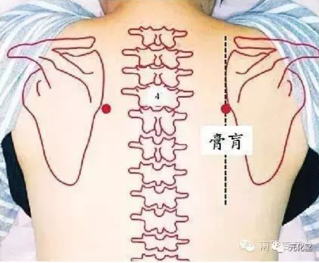孙思邈说：艾灸此穴，无疾不愈矣