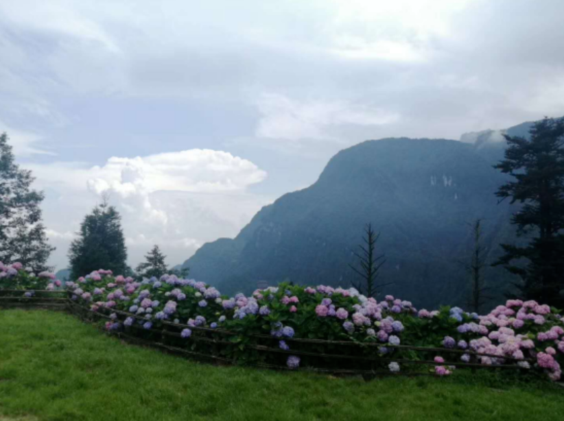 安顿身心、怀有期待：疫期思考三则