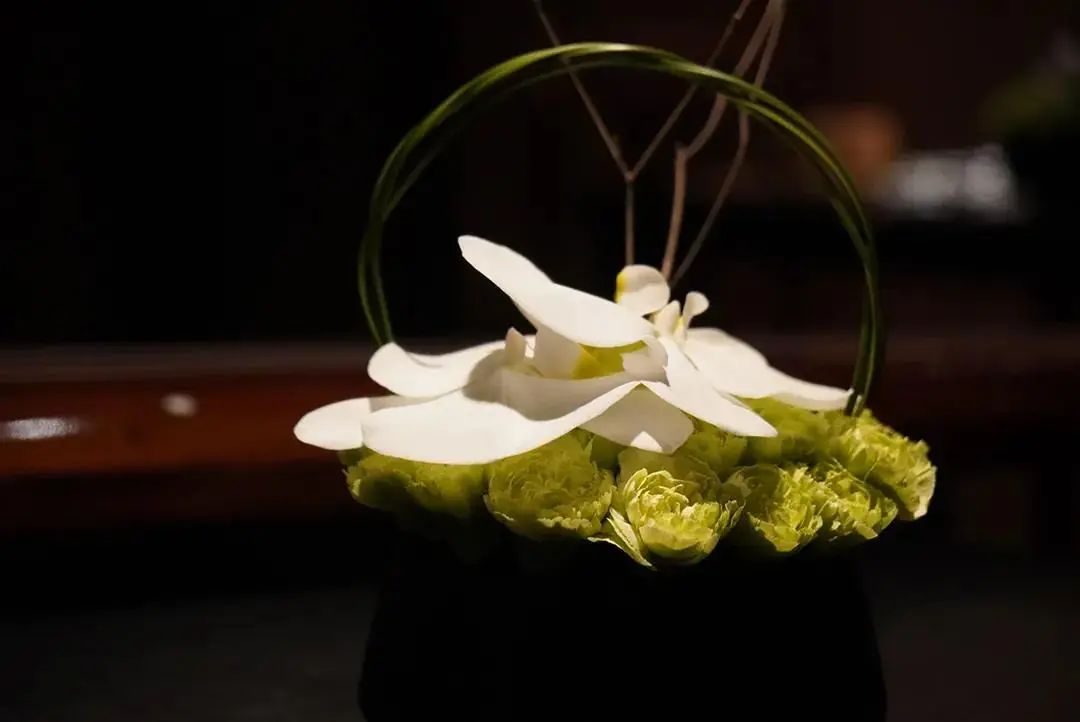 实修反馈：站桩打坐·辟谷复谷