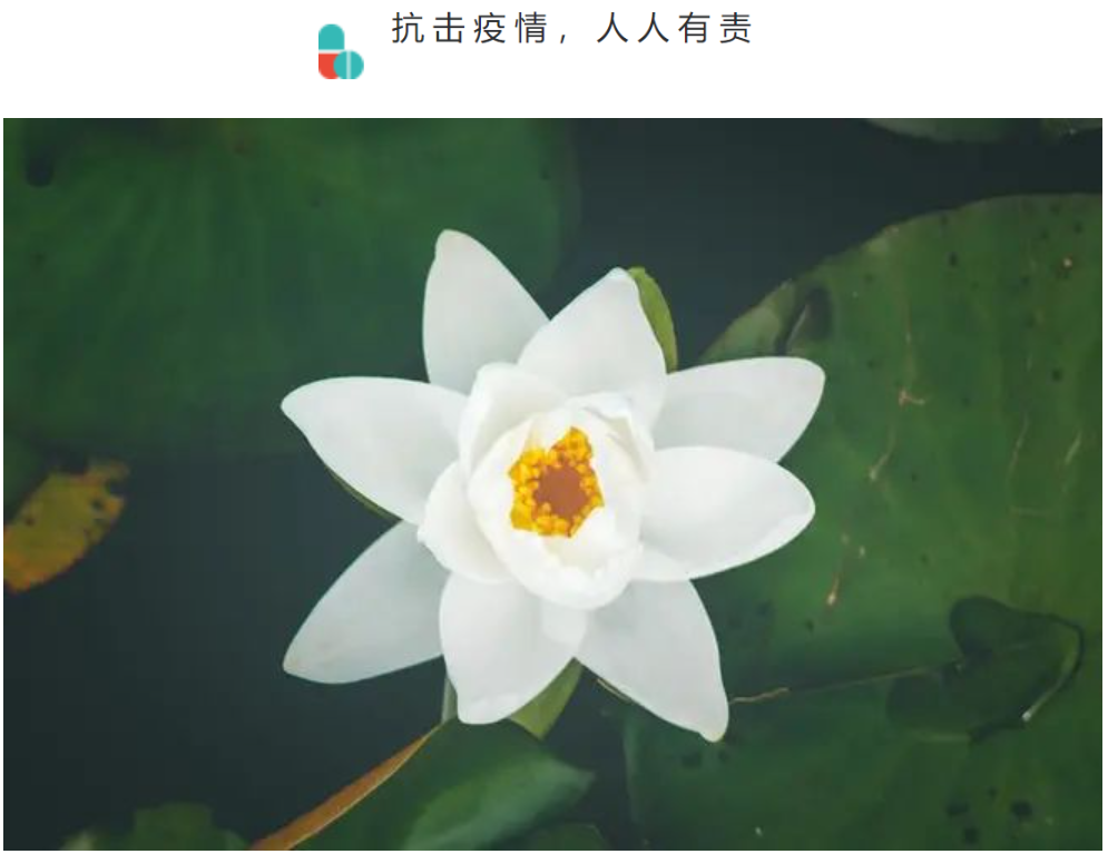 巴塞罗那 | 我的“过山车”之旅, 超乎想象！