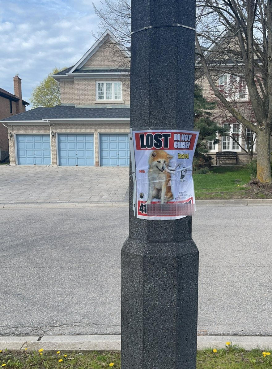 幸子失而复得记