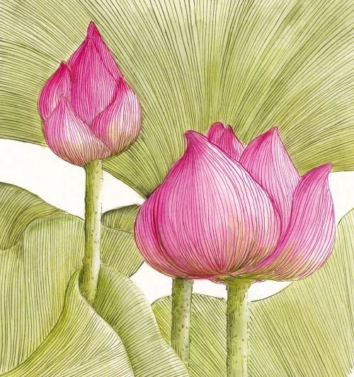 患者来信 | 带给我健康的，才是我真正的贵人