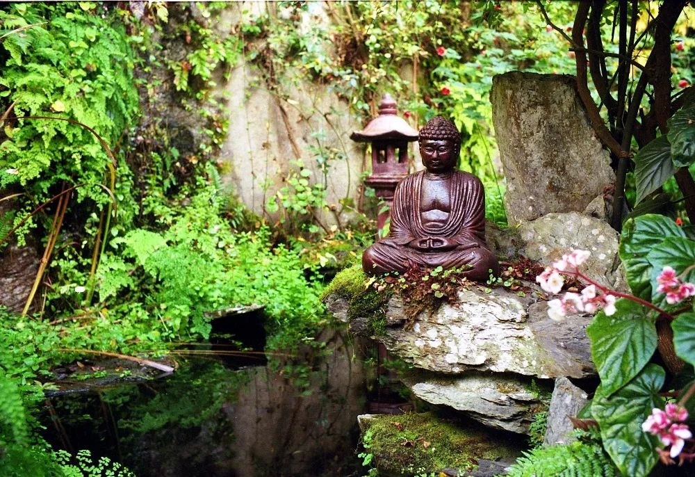 患者来信 | 这三样东西，让我一家人受益