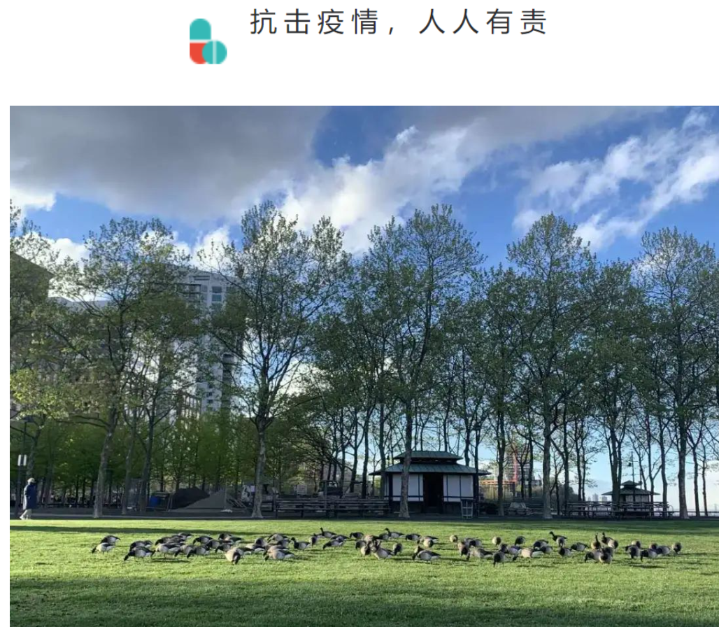 我在新泽西发病后的康复历程