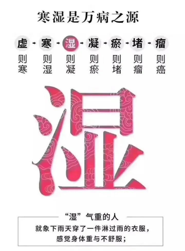 攻略 | 三伏天九毒日