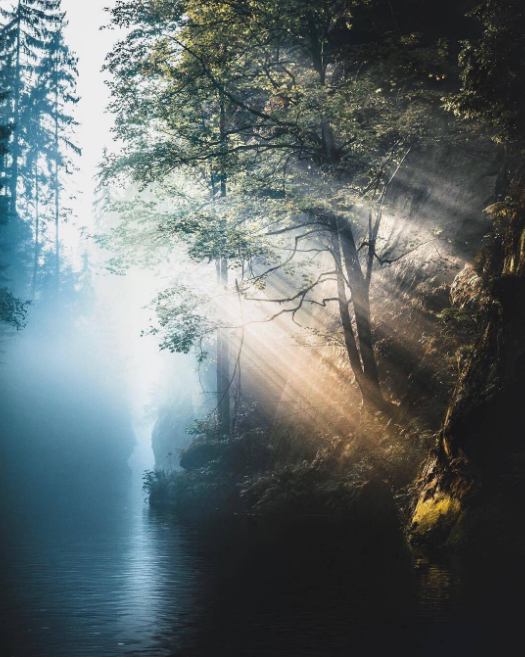 救度的是谁？（附：杨医生抗疫团队的各国义工联系方式）