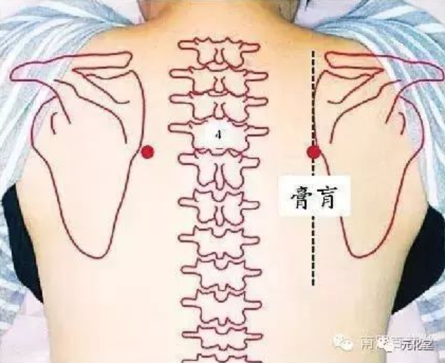 本周日加拿大健康文化总会公益讲座：病在骨中，摸骨算命
