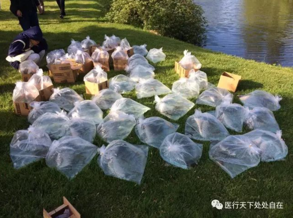 治病养生第一密法