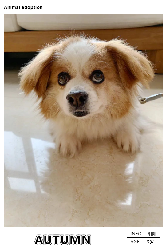 班花阳阳的新生活