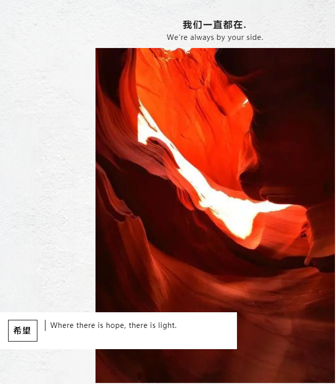 生死一线 | 新冠重症救助
