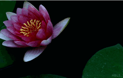 疫情无情人有情