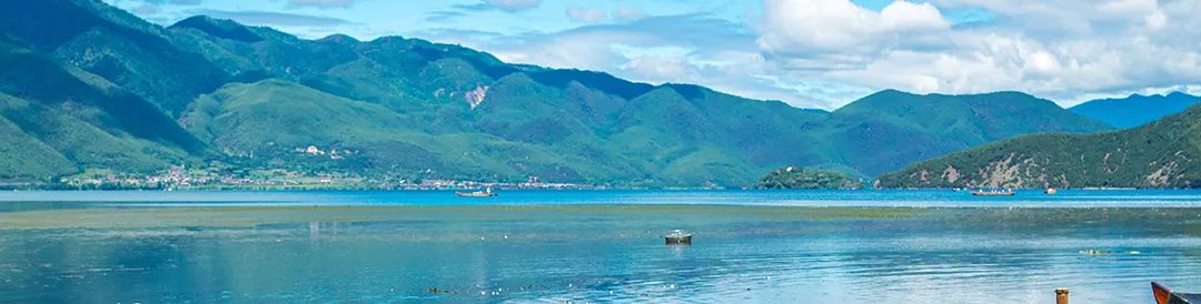 癌症晚期转移剧痛难忍，妙手回春医生断了吗啡