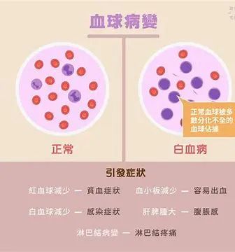 白血病 | 一种全新疗愈法