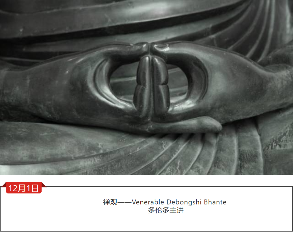 禅观——Venerable Debongshi Bhante 多伦多主讲