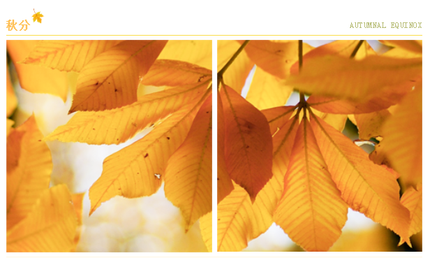 秋季 | 阳气收敛，体内正邪对抗开始活跃