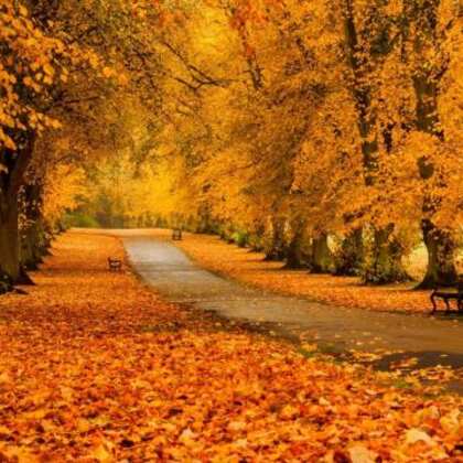 立秋之后的养生-重中之重