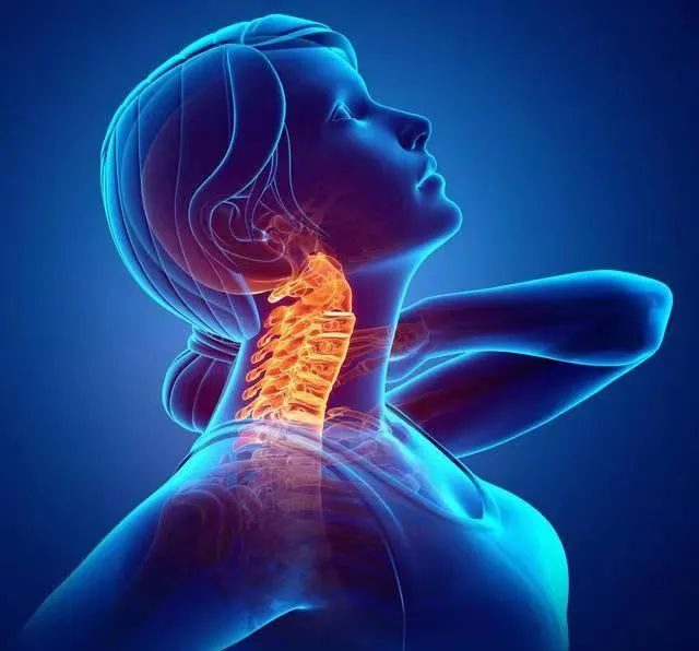 美容离不开肩颈，养生首当肩颈，让您青春永驻