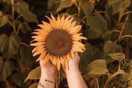 群友分享 | 辟谷与感悟