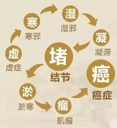 老药的故事：癌症晚期…… 麝香……