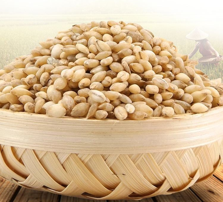 能量加油站：青稞素石榴包，一份能量满满的小点心