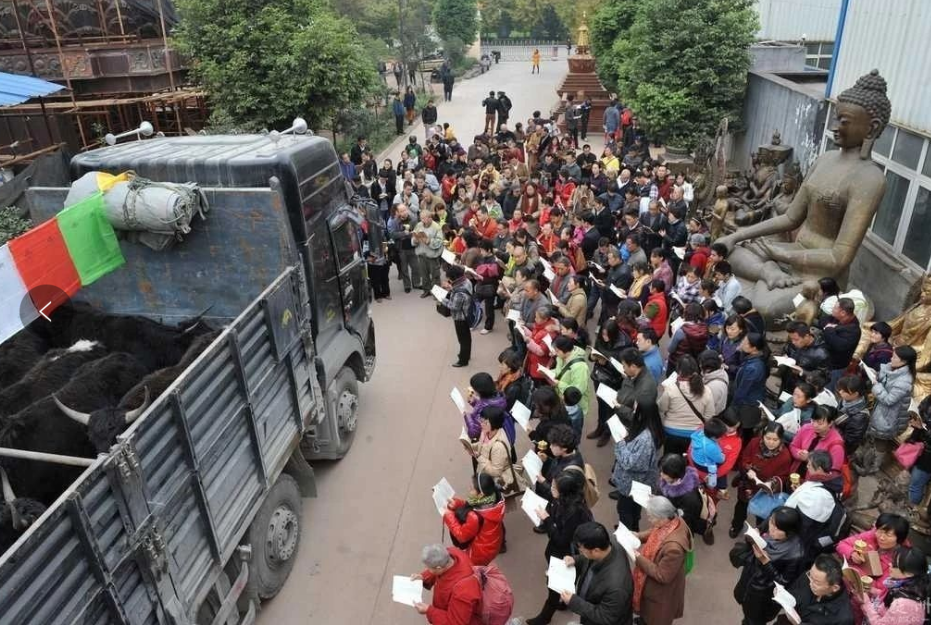 萨噶月百万大放生