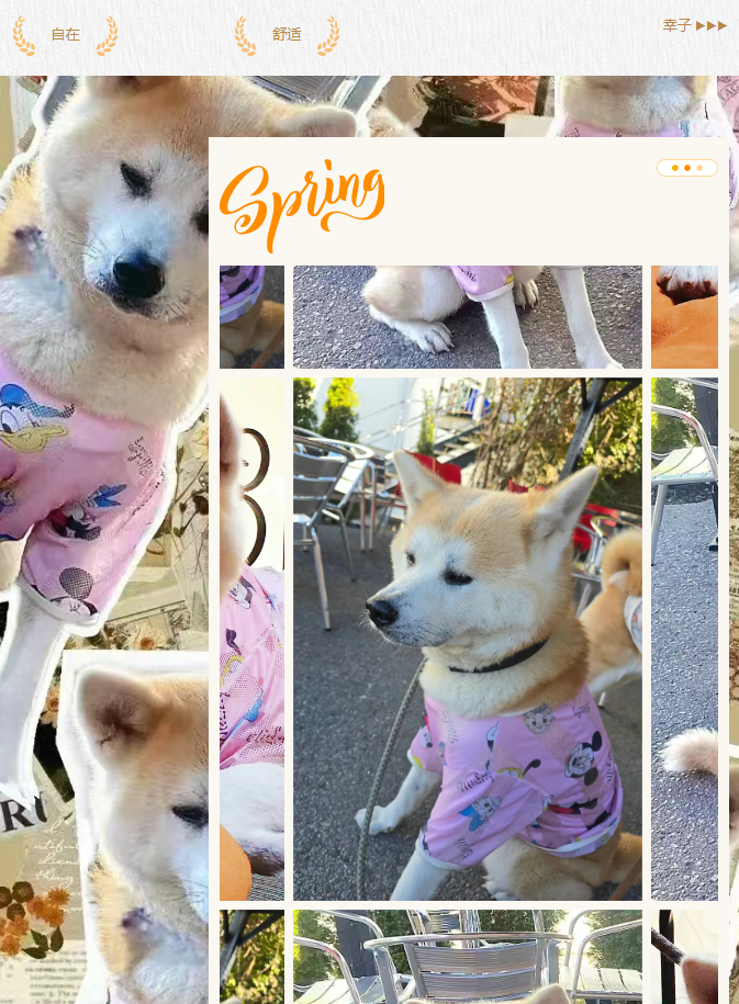 谢谢您！我最爱的小医生