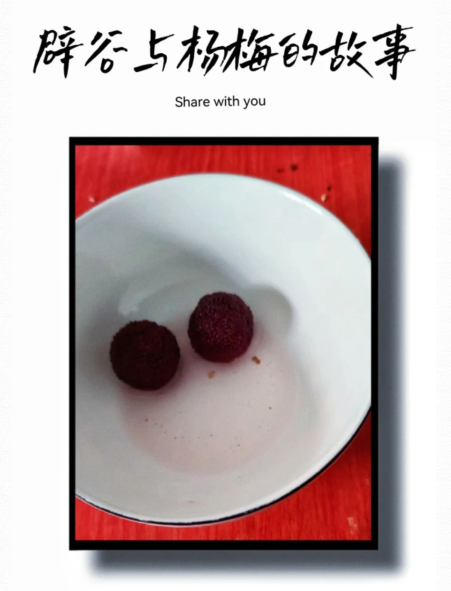 辟谷与杨梅的故事