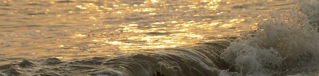 辟谷共修 • 2 | 辟谷不难，难的是自己的决心