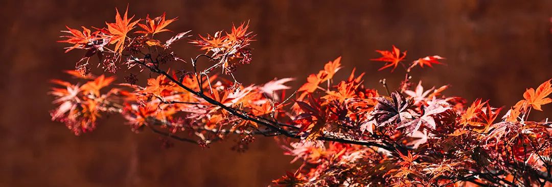 这次才发现，静坐的修复能力那么强...