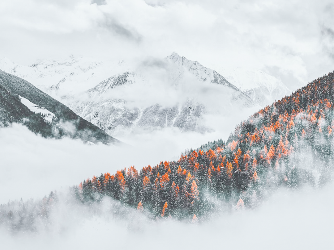 适合99%的人，适合99%的疑难杂症，一些久治不愈的疾病试试这张妙方