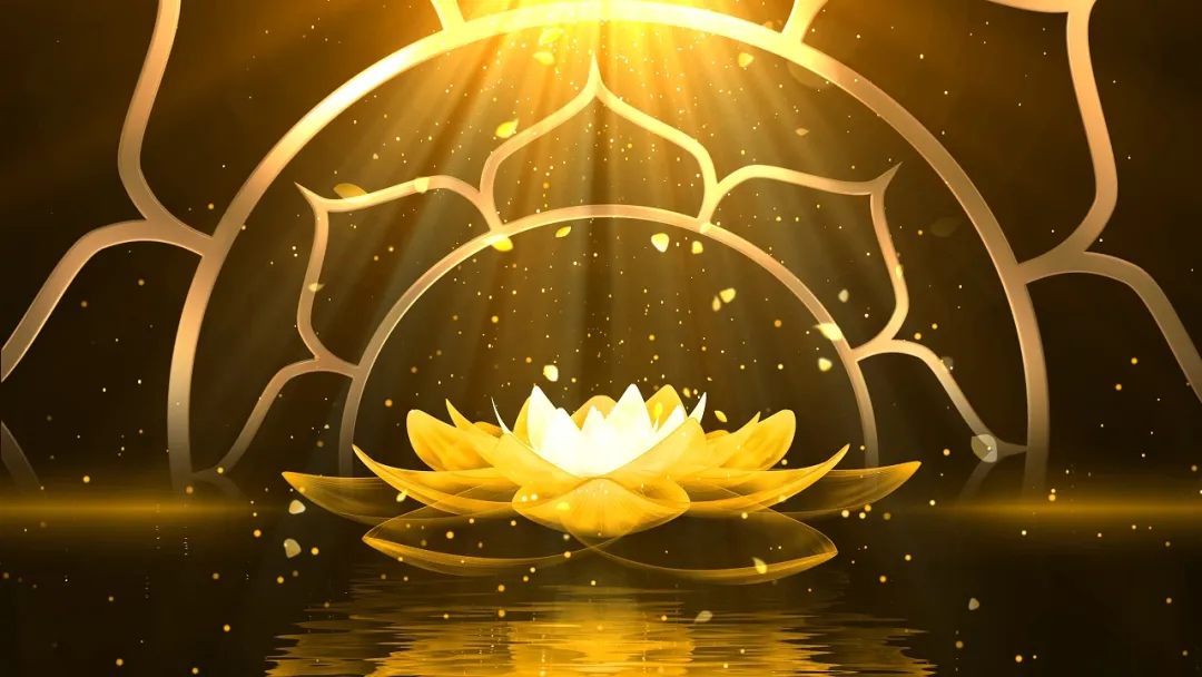 错失 —— 每个人的习气是如此深重