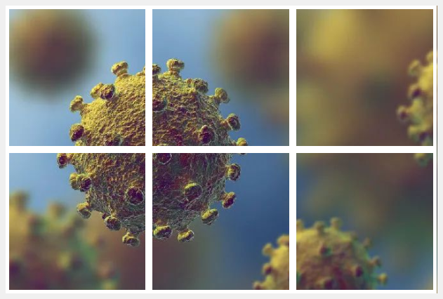 长新冠综合症的对治 1