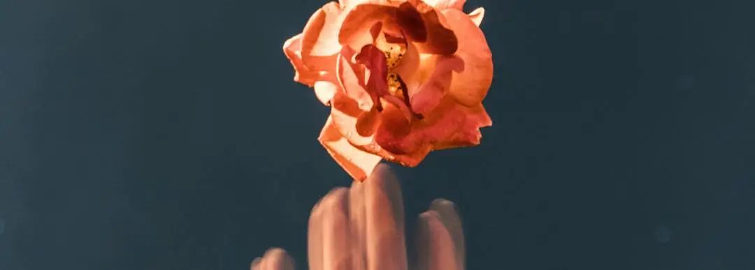 静待有缘人：扩招三天