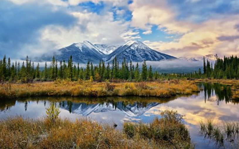 2019年下半年的气候